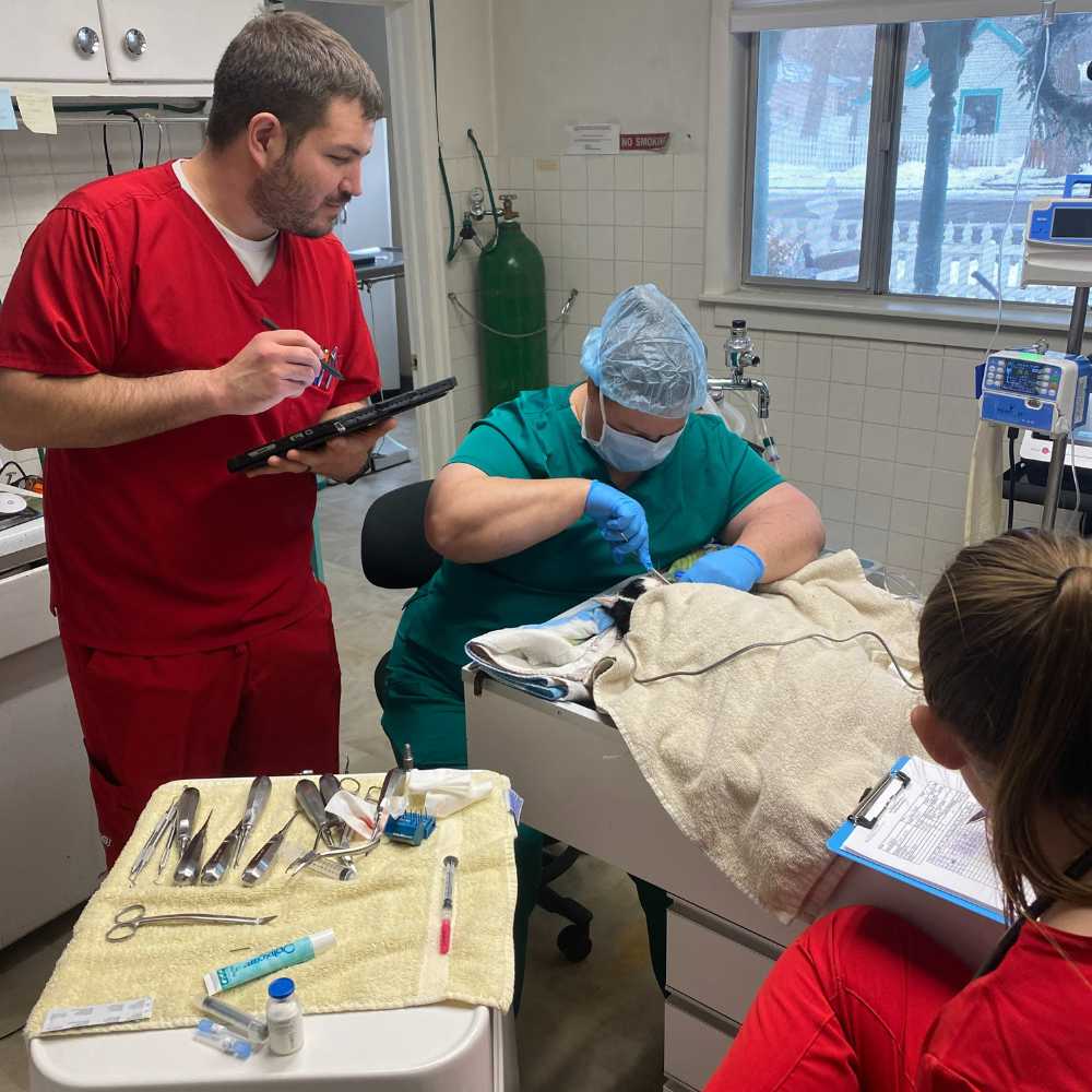 dr. ealry doing dental treatment<br />
